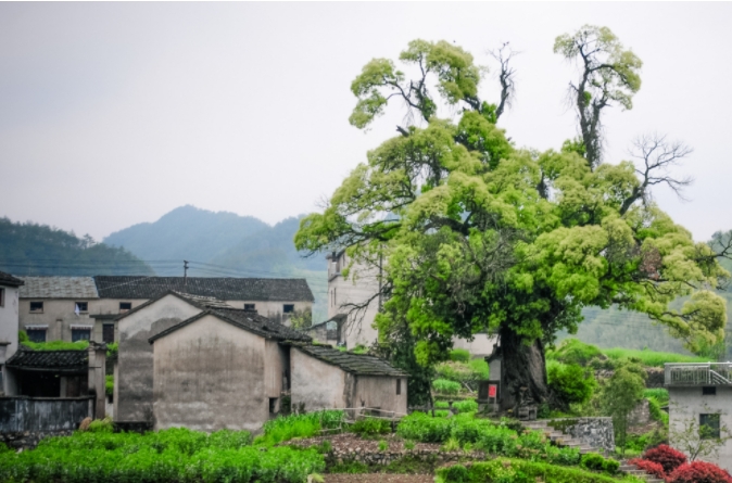 城乡融合发展与美丽乡村建设专题培训班